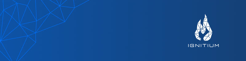 Ignitium LinkedIn Banner 01