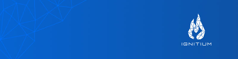 Ignitium LinkedIn Banner 05