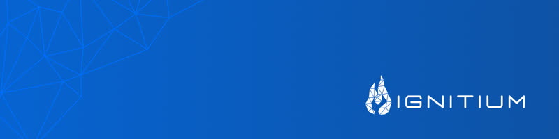Ignitium LinkedIn Banner 06
