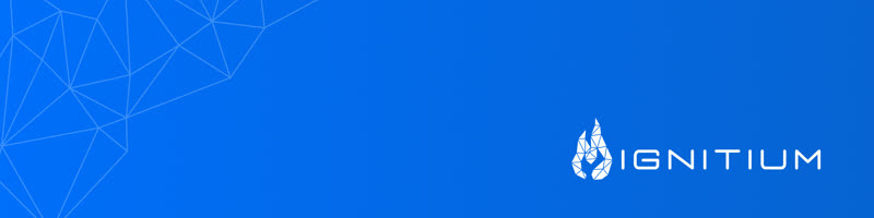 Ignitium LinkedIn Banner 10