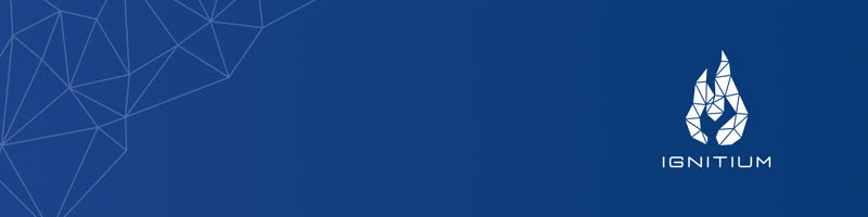 Ignitium LinkedIn Banner 13