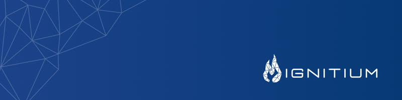 Ignitium LinkedIn Banner 14