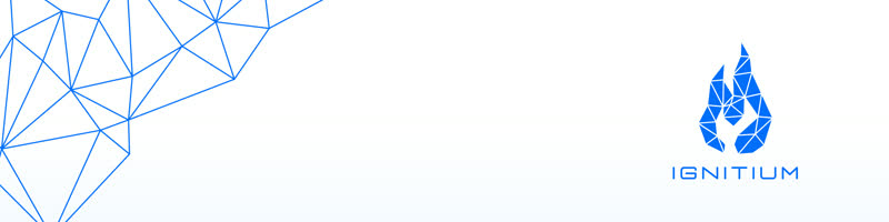 Ignitium LinkedIn Banner 17