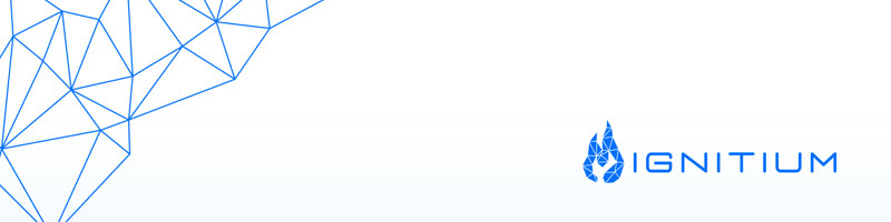 Ignitium LinkedIn Banner 18